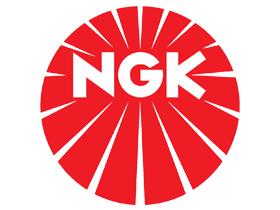 SUBFAMILIA DE NGK    NGK